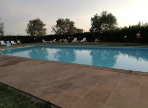 a large swimming pool with chairs in a yard at Podere Ortacavoli in Terriccio