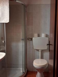 a bathroom with a toilet and a shower at Podere Ortacavoli in Terriccio +12 photos