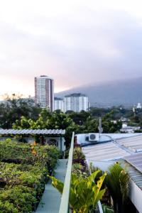 a view of a city from a building with plants at Arbol de Fuego Eco-hotel in San Salvador