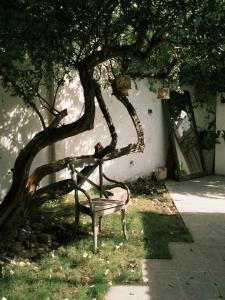 a bench sitting under a tree next to a building at Yên homestay in Phan Rang–Tháp Chàm +23 photos