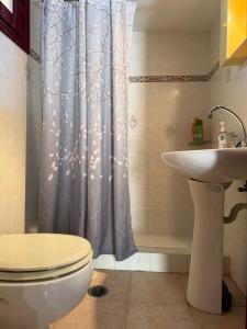 a bathroom with a toilet and a shower curtain at La Casa Nuova in Chios +25 photos