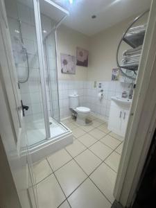 a bathroom with a shower and a toilet and a sink at The Goodlife Guesthouse in Harwich