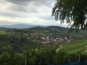 a view of a village in a green valley at Holiday Apartment Bombach in Kenzingen