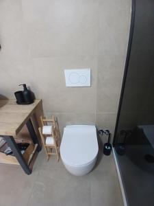 a bathroom with a toilet and a desk and a sink at Apartmaji pri Pinku in Breginj +13 photos