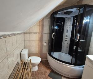 a bathroom with a shower and a toilet in it at PENSIUNEA BIO in Coltău