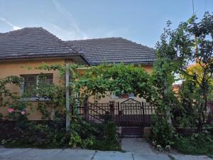 a house with a black gate and a fence at PENSIUNEA BIO in Coltău