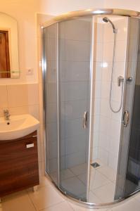 a shower with a glass door in a bathroom at Domki Vesper Międzywodzie in Międzywodzie
