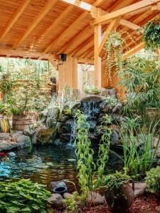 a garden with a pond and a wooden pergola at Hanul Moara cu Noroc in Ineu