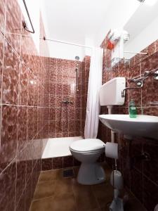 a bathroom with a toilet and a shower and a sink at Bed&Breakfast Drage in Drage