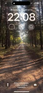 a poster of a road with the number at House in the forest in Tyup