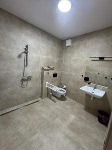 a bathroom with a toilet and a sink at Penzion Mlýn Cibotín in Česká Bělá