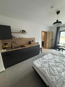 a kitchen with a bed and a sink in a room at Penzion Mlýn Cibotín in Česká Bělá