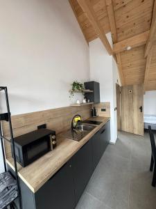 a kitchen with a sink and a microwave on a counter at Penzion Mlýn Cibotín in Česká Bělá +32 photos