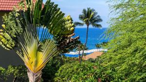 a view of the ocean from a resort with a palm tree at Kona Pacific C520. in Kailua-Kona +22 photos