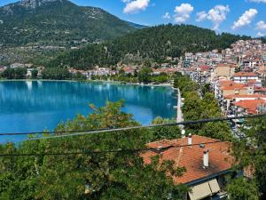 a view of a city and a lake at Adriana Luxury Studio in Kastoria