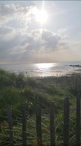 a beach with a bunch of birds in the water at Double room with ensuite in Milltown Malbay