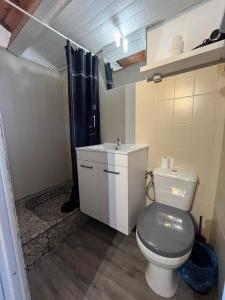 a bathroom with a toilet and a sink at "Villa du Pin" idéalement situé Ruoms à pieds, voie verte in Ruoms +5 photos