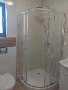 a shower with a glass door in a bathroom at Wygodny duży pokój in Żarki