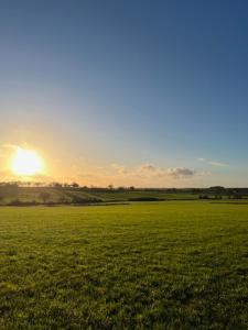a field of grass with the sun in the sky at Brookfield in Malmesbury