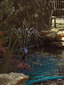a water feature in a garden with a fountain at La Bastide de Barbizon in Barbizon