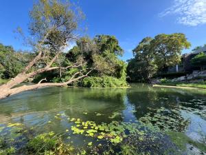 a body of water with trees and flowers at เป้แคมป์ปิ้งเขาใหญ่ in Ban Khanong Phra Tai