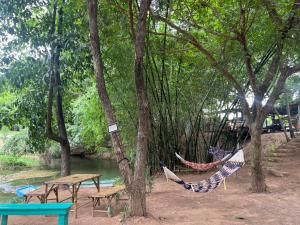 a hammock hanging between trees in a park at เป้แคมป์ปิ้งเขาใหญ่ in Ban Khanong Phra Tai