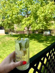 a person holding a glass with a drink at Casa Izvoarele in Izvoarele