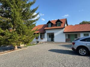 a car parked in front of a house at Casa Izvoarele in Izvoarele