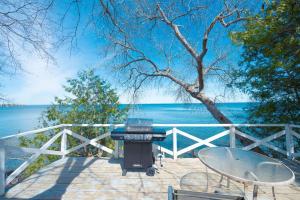 a grill and table on a patio with the water at Lakefront Cottage Private Beach & & Kayaks in Georgina