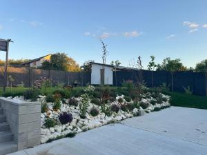 a garden with white flowers in a yard at Dom Okale in Kazimierz Dolny +2 photos
