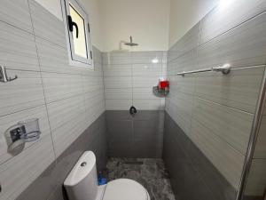 a small bathroom with a toilet and a shower at Vila Olti in Vlorë +20 photos