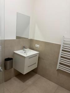 a bathroom with a sink and a mirror at Private Room in Hannover