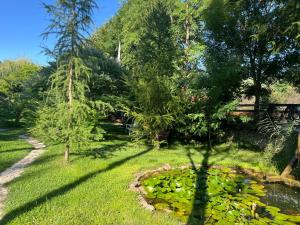 a pond filled with lots of lilies in a yard at Pensiunea Deceneu in Slănic +80 photos