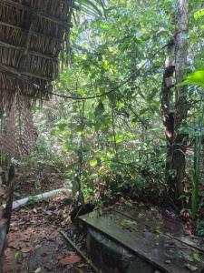 a wooden bench sitting in the middle of a forest at Camping AlterArte Ecovila in Santarém