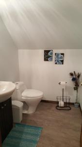a white bathroom with a toilet and a sink at domaine de la vallee in Sainte-Rose-du-Nord +47 photos