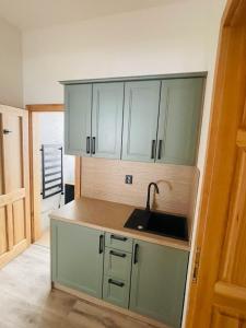 a kitchen with green cabinets and a sink at Celnice pod Sněžníkem-Nová Seninka in Staré Město