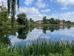 a view of a lake with buildings in the background at Haus Mari in Gommern