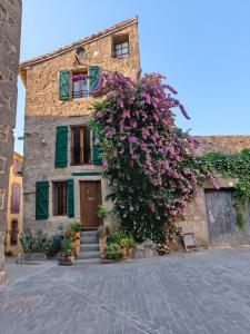 a building with a large bush of flowers on it at Belle vue in Agde