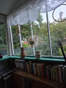 a cat sitting on a window sill with books at Augustówka - letnisko na Wrzosowiskach in Mostówka