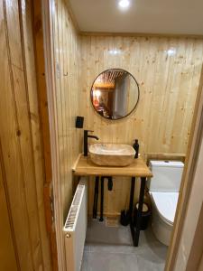 a bathroom with a sink and a mirror and a toilet at Cabana Rânca in Ranca