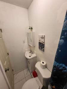 a small bathroom with a toilet and a sink at Paseo Miami in Miami
