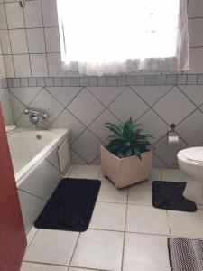 a bathroom with a toilet and a potted plant at Glenmore Sea View Appartments in Leisure Crest +15 photos