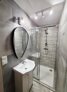 a bathroom with a shower and a sink and a mirror at Rosa in Rydułtowy