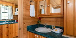 a bathroom with a sink in a wooden cabin at Engadine Inn and Cabins in Candler +58 photos