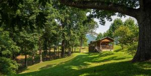 a wooden cabin in the middle of a field with trees at Engadine Inn and Cabins in Candler