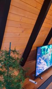 a television sitting on a table next to a plant at Villa Leos in Ferizaj