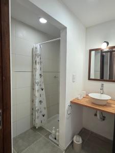 a bathroom with a shower and a sink at Don Sánchez in Cafayate