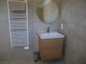a bathroom with a sink and a mirror at Studios Saint Mau 3 in Saint-Maurice-de-Gourdans