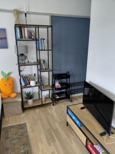 a living room with a tv and a book shelf at Antonia s quality apartment 1 in Viborg