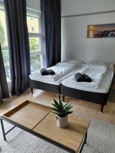 two beds in a room with a coffee table at Antonia s quality apartment 1 in Viborg
